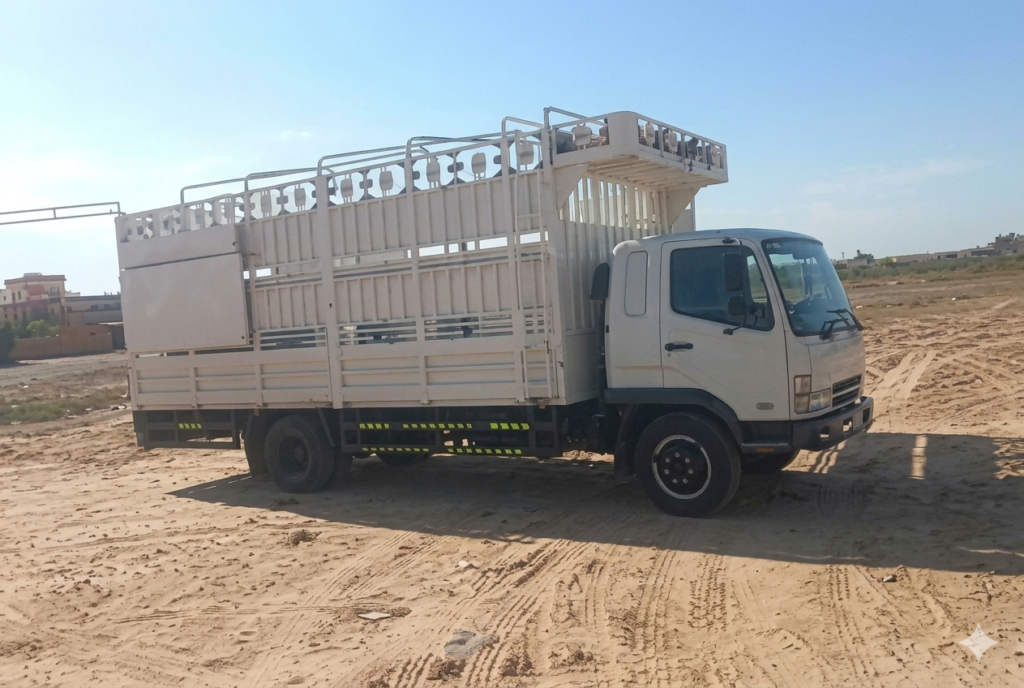 Best Oman to UAE 3 ton cargo Service